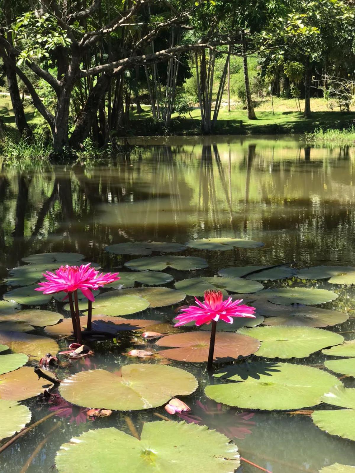Canto De Roca Turismo E Lazer Mimoso do Sul 外观 照片