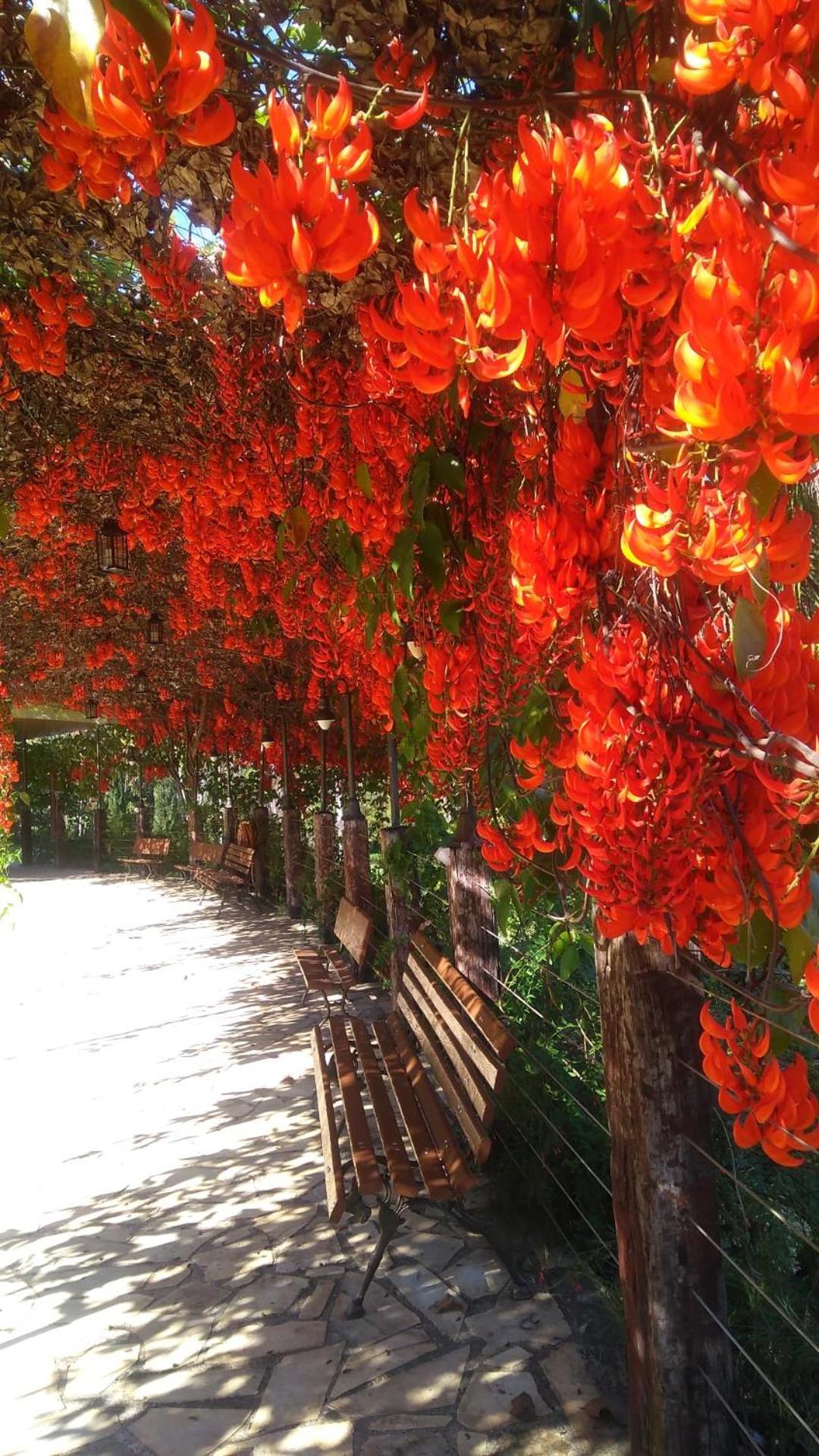 Canto De Roca Turismo E Lazer Mimoso do Sul 外观 照片