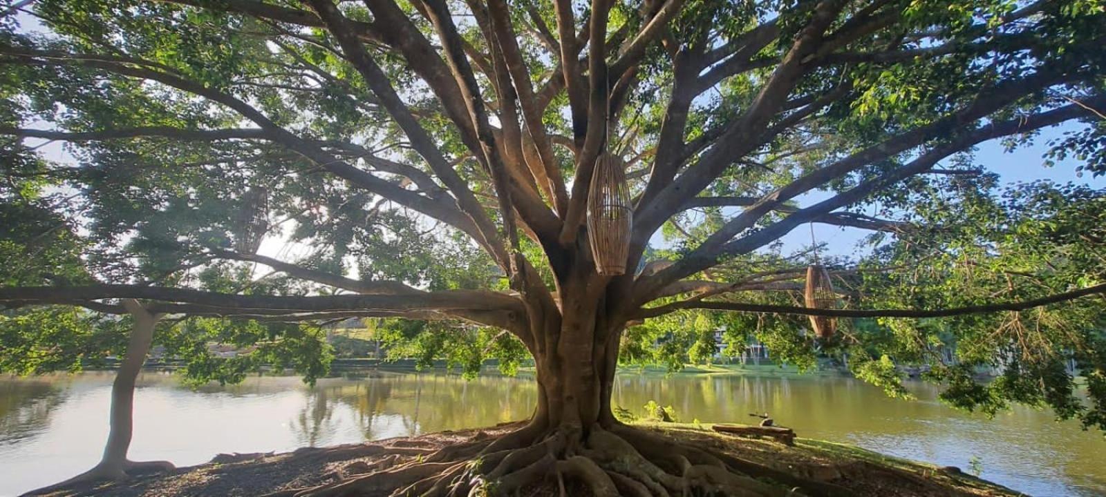Canto De Roca Turismo E Lazer Mimoso do Sul 外观 照片